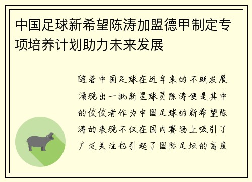 中国足球新希望陈涛加盟德甲制定专项培养计划助力未来发展