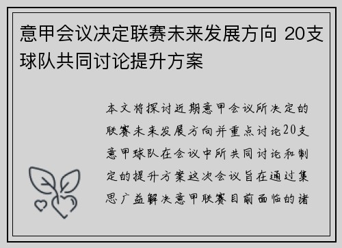 意甲会议决定联赛未来发展方向 20支球队共同讨论提升方案
